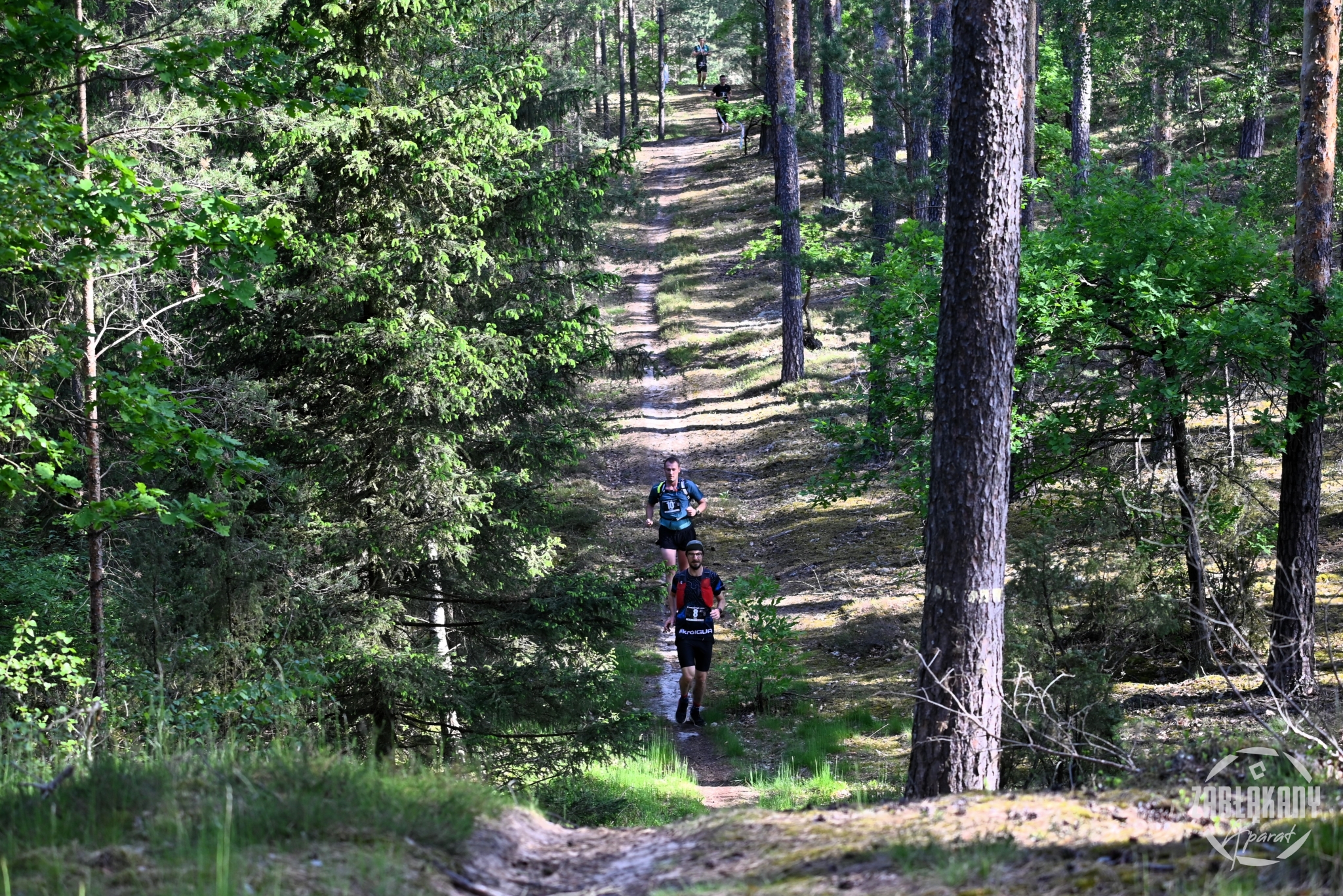 Zdjęcie Grzegorz Milczarek 3